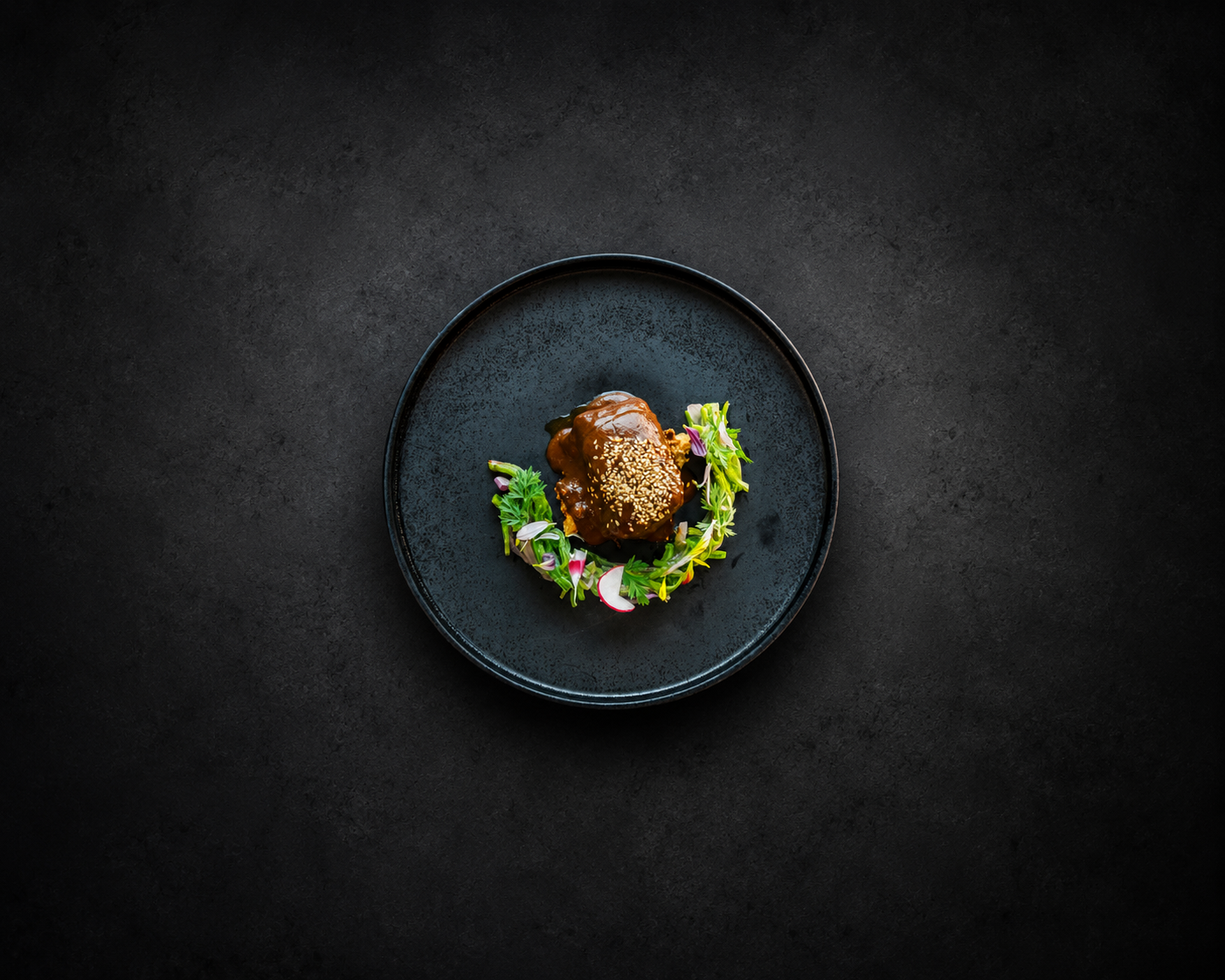 A plate of Mole | Mexican dish